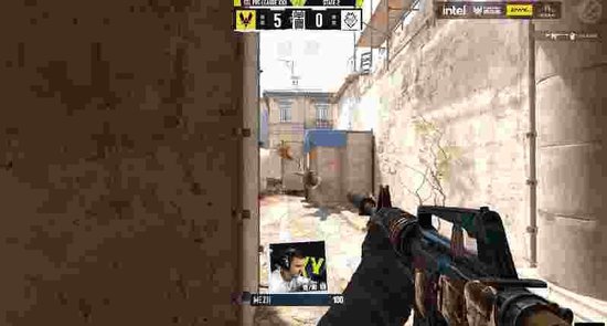 EPL S22第二阶段：蜜蜂浴火重生！Vitality 2-0 G2