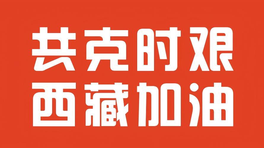 2025年01月09日 网络捐赠100万元驰援西藏日喀则地震灾区 抗震救灾，我们同行！共克时艰，
